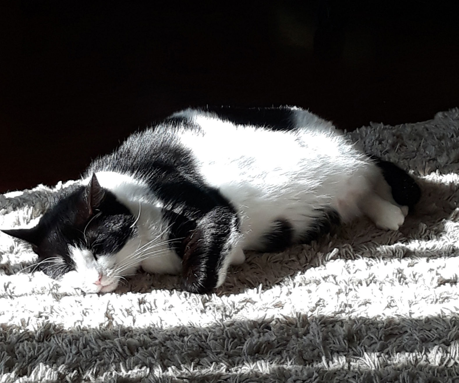 Catching some rays